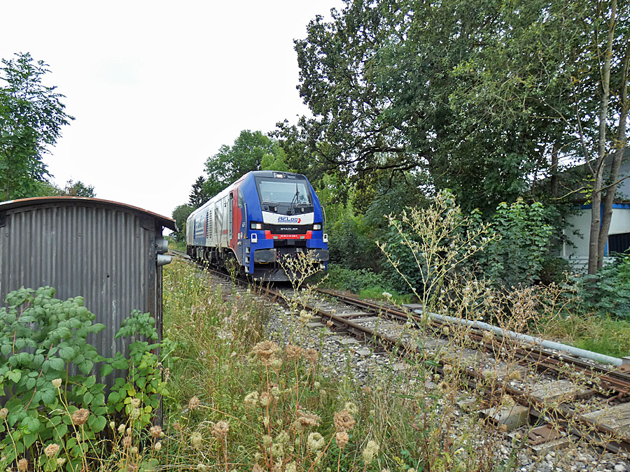 Fremdingen Sandzug 26.8.24